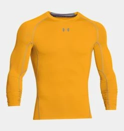 Under Armour Heatgear Longsleeve Tees (1257471)